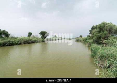 Blick auf Feuchtgebiet-Lebensraum, S’Albufera-Reservat, Mallorca, Balearen, Spanien, 19. Juni 2023 Stockfoto