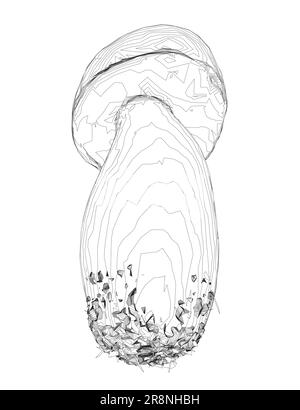 Umriss Champignon Pilze Vektorzeichnung, Krötenhocker, Fliegenhocker, weißer Krötenhocker, Konturpilze isoliert auf weißem Hintergrund. Vect Stock Vektor