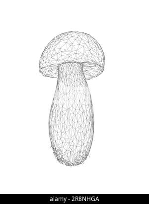 Drahtmodell Champignon Pilze Vektorzeichnung, Krötenhocker, Fliegenhocker, weißer Krötenhocker, Drahtmodell-Pilze isoliert auf weißem Hintergrund. Stock Vektor