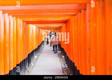 Fushimi Inari Gates, Kyoto, Japan Stockfoto