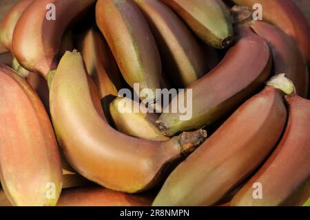 Köstliche lila Bananen im Hintergrund, Blick von oben Stockfoto