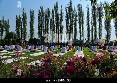 Juni 21,2023, Srinagar Kaschmir, Indien: Schüler führen Yoga zum Internationalen Yoga-Tag in Srinagar auf. Im Dezember 2014 erklärten die Vereinten Nationen den 21. Juni zum Internationalen Tag von Yoga, nachdem sie eine vom indischen Premierminister Narendra Modi vorgeschlagene Resolution verabschiedet hatten. Am 21,2023. Juni in Srinagar Kaschmir, Indien. (Foto: Firdous Nazir/Eyepix Group/Sipa USA) Stockfoto