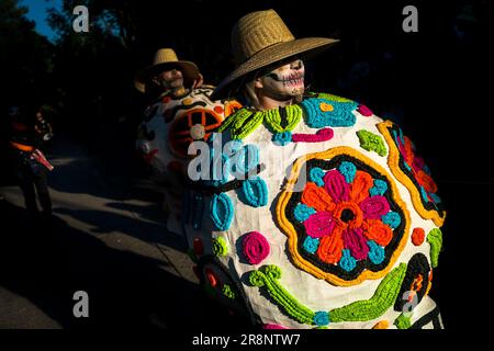 Eine junge Mexikanerin trägt ein von den Ureinwohnern inspiriertes Kostüm und führt während der Day of the Dead-Feierlichkeiten in Guadalajara, Mexiko, eine Tanznummer auf. Stockfoto