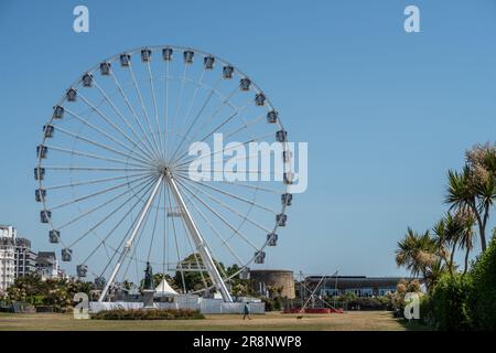 Eastbourne, 16. 2023. Juni: Das Eastbourne Eye, ein Riesenrad Stockfoto