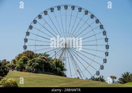 Eastbourne, 16. 2023. Juni: Das Eastbourne Eye, ein Riesenrad Stockfoto