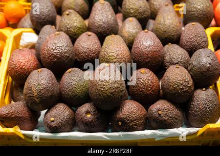 Nahaufnahme von vielen Avocado-Produkten, die im Geschäft verzehrfertig sind. Stockfoto