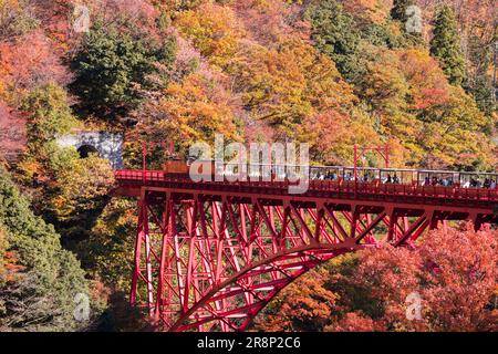 Kurobe Gorge Railway Stockfoto