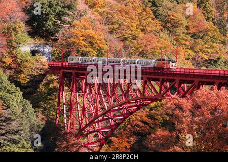 Kurobe Gorge Railway Stockfoto