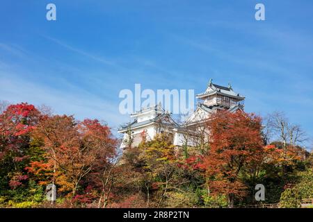 Schloss Echizen Ono Stockfoto