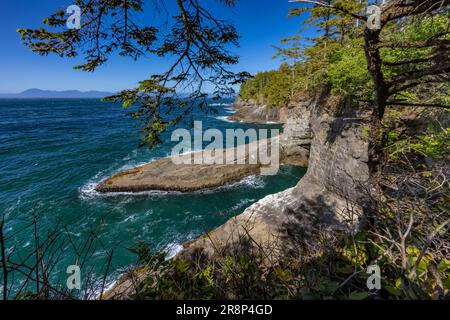 Spektakuläre Aussicht auf felsige Klippen von der Aussichtsplattform am Ende des Cape Flattery Trail, Makah Nation, Washington State, USA [Editorial Licen Stockfoto