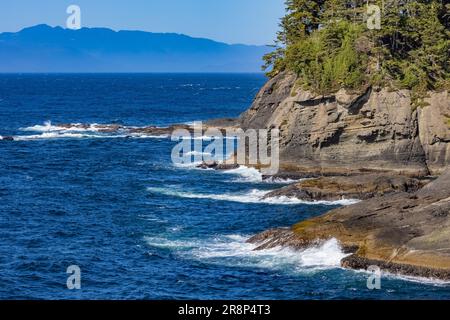 Spektakuläre Aussicht auf felsige Klippen von der Aussichtsplattform am Ende des Cape Flattery Trail, Makah Nation, Washington State, USA [Editorial Licen Stockfoto