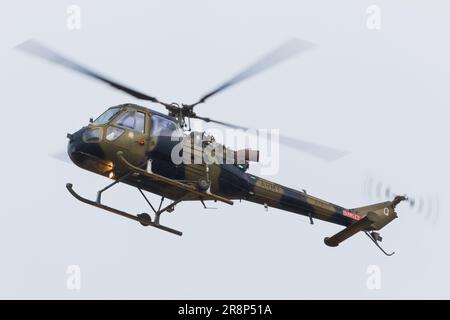 Ein leichter Helikopter der Westland Scout. Wird hauptsächlich von der Zweigstelle des Army Air Corps der britischen Armee in Konflikten wie den Falklands und Northarn Irelan verwendet Stockfoto