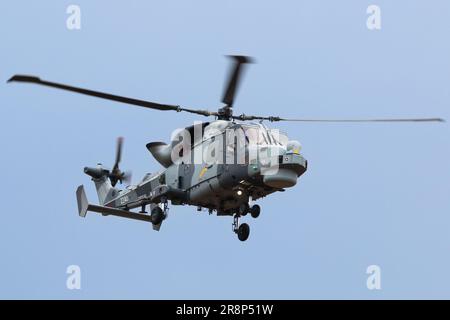 Eine AugustaWestland AW159 Wildcat HMA2, auch bekannt als Lynx Wildcat. Diese wird von der britischen Royal Navy verwendet, hauptsächlich für Such- und Rettungsaktionen und Anti-Terror Stockfoto