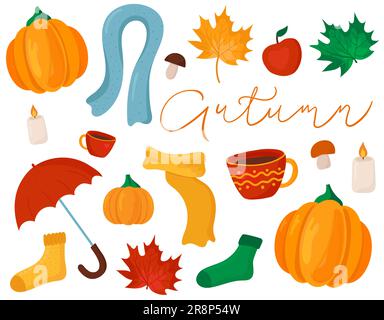 Vektorset mit Herbstsymbolen für jedes Design gemütliche und helle Herbstsymbole. Gelbe Pflanzen, Lebensmittel und Waldtiere, Erntefest Stock Vektor