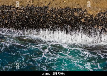 Meerwasser aus Klippen nach einer Crashwelle, Cape Flattery Trail, Makah Nation, Washington State, USA [nur redaktionelle Lizenzierung] Stockfoto