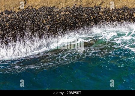 Meerwasser aus Klippen nach einer Crashwelle, Cape Flattery Trail, Makah Nation, Washington State, USA [nur redaktionelle Lizenzierung] Stockfoto