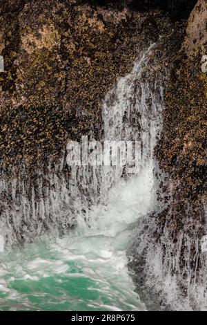 Meerwasser aus Klippen nach einer Crashwelle, Cape Flattery Trail, Makah Nation, Washington State, USA [nur redaktionelle Lizenzierung] Stockfoto