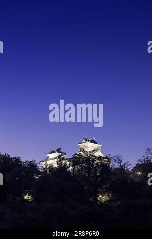 Schloss Echizen Ono Stockfoto