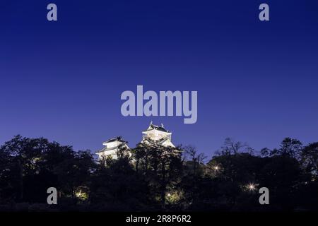 Schloss Echizen Ono Stockfoto