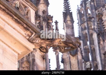 PRAG, TSCHECHISCHE REPUBLIK, EUROPA - ST. Vitus-Kathedrale-Gargoyle. Stockfoto