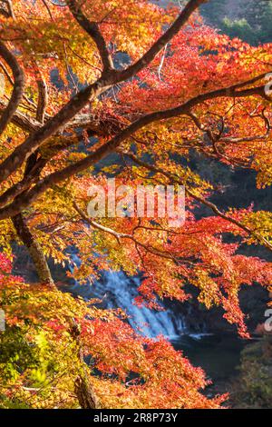 Awamata Falls in Yoro Gorge Stockfoto