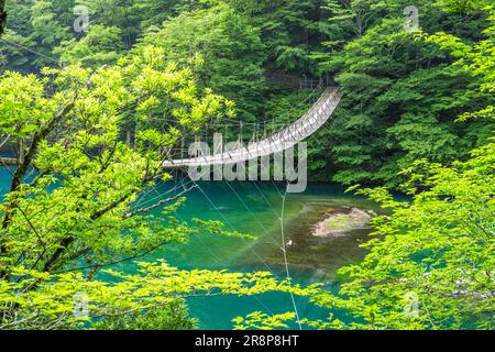 Dream Hängebrücke in Sunmatakyo Stockfoto