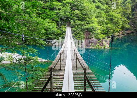 Dream Hängebrücke in Sunmatakyo Stockfoto