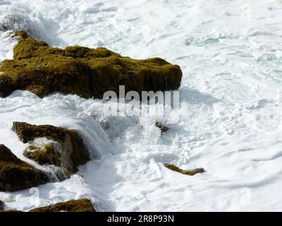 Felsen im Atlantik, die mit Moos und Algen überwuchert sind, die von schäumenden, weißen Wellen überwemmt werden, Teneriffa, Kanarische Inseln, Spanien Stockfoto