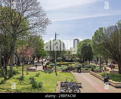 Armada Way, Plymouth von einem hohen Aussichtspunkt aufgenommen, aufgenommen im Jahr 2019, bevor der berüchtigte Baum einige Jahre später am 14. März unter Dunkelheit geschnitten wurde Stockfoto