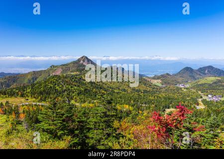 Shiga Highlands und die Nördlichen Alpen Stockfoto