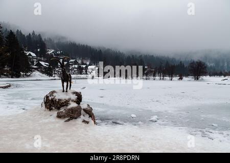 Ein majestätischer Hirsch steht auf einem schneebedeckten Felsen, umgeben von einer ruhigen Waldlandschaft Stockfoto