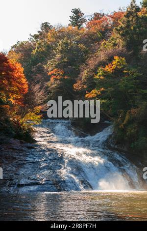 Herbstlaub im Yoro Valley Stockfoto