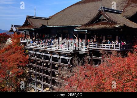 KYOTO, Japan - 26 November, 2016: die Menschen besuchen Kiyomizu-dera Tempel in Kyoto, Japan. Kyoto hat 17 UNESCO-Welterbestätten. Stockfoto