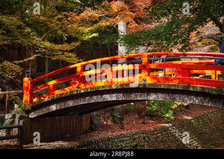 Herbst in Japan: Farbenfrohe Blätter und Brücke der Kitano Tenmangu Gärten in Kyoto. Stockfoto