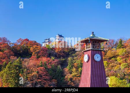 Schloss Echizen Ono Stockfoto