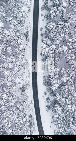 Ein rotes Auto navigiert anmutig durch einen ruhigen, gefrorenen Wald, der von oben in einem fesselnden Drohnenfoto gefangen wurde. Stockfoto