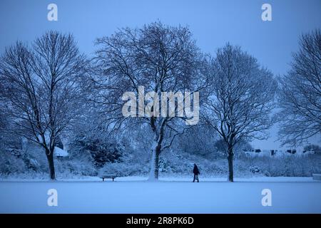 Ein schneebedeckter Park in Ilford, East London. Stockfoto