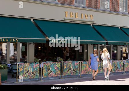 Das Ivy Restaurant an der East Street Chichester West Sussex England Stockfoto