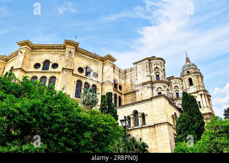 Blick auf die Basilika Santa Iglesia de la Encarnacion oder die Kathedrale von Malaga, Andalusien, Spanien Stockfoto