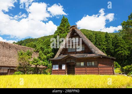 Das Dorf Suganuma Gassho-Zukuri Stockfoto