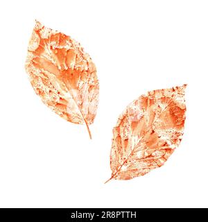 Aufdruck heller Herbstblätter isoliert auf weißem Hintergrund. Aquarell-Darstellung einer im Herbst getrockneten orangefarbenen Silhouette für Herbariumdekoration, Drucke Stockfoto