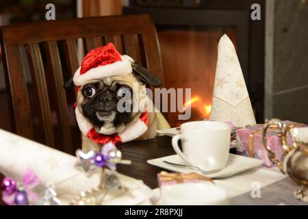 Ein junger Klugscheißer sitzt an einem Couchtisch mit einer Weihnachtsmann-Mütze. Er lächelt. Der Tisch ist zu Weihnachten dekoriert. Ein Kamin brennt im Ba Stockfoto