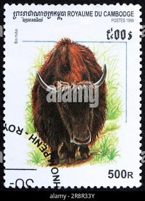 KAMBODSCHA - CIRCA 1999: Ein in Kambodscha gedruckter Stempel zeigt Wildjak, bos mutus, ein großes, wild lebendes Rind, das im Himalaya geboren ist, etwa 1999 Stockfoto