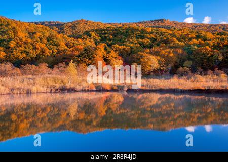 Hachimantai in Herbstblättern und Goshikinuma Stockfoto