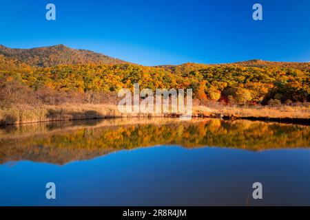 Hachimantai in Herbstblättern und Goshikinuma Stockfoto