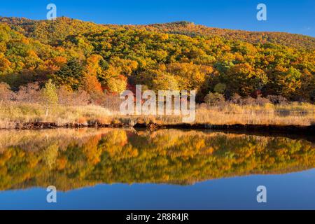 Hachimantai in Herbstblättern und Goshikinuma Stockfoto