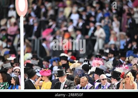 Ascot, Vereinigtes Königreich, 22. Juni 2023; Ascot Racecourse, Berkshire, England: Royal Ascot Horse Racing, Tag 3; Rennfahrer erwarten das erste Rennen in der Sonne Stockfoto