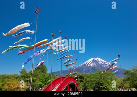 Berg Fuji und Karpfenbanner Stockfoto