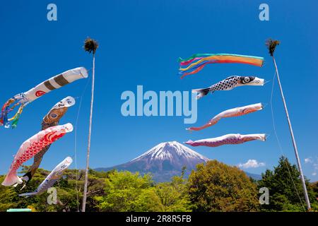 Berg Fuji und Karpfenbanner Stockfoto