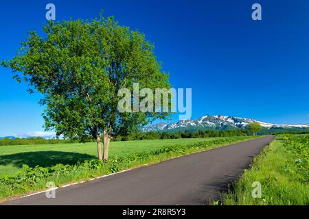 Angus Ranch und Taisetsu Zan Stockfoto